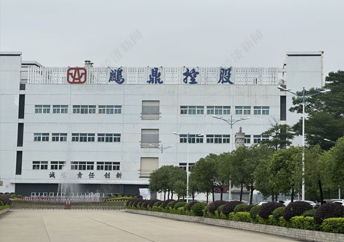 直擊股東大會丨鵬鼎控股董事長沈慶芳 單一大客戶占比超50%是結果 核心是滿足客戶需求并持續拓展